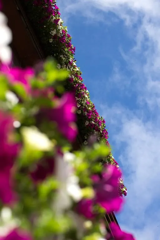 ****  Hotel Garni Roemerhof Innsbruck Oostenrijk